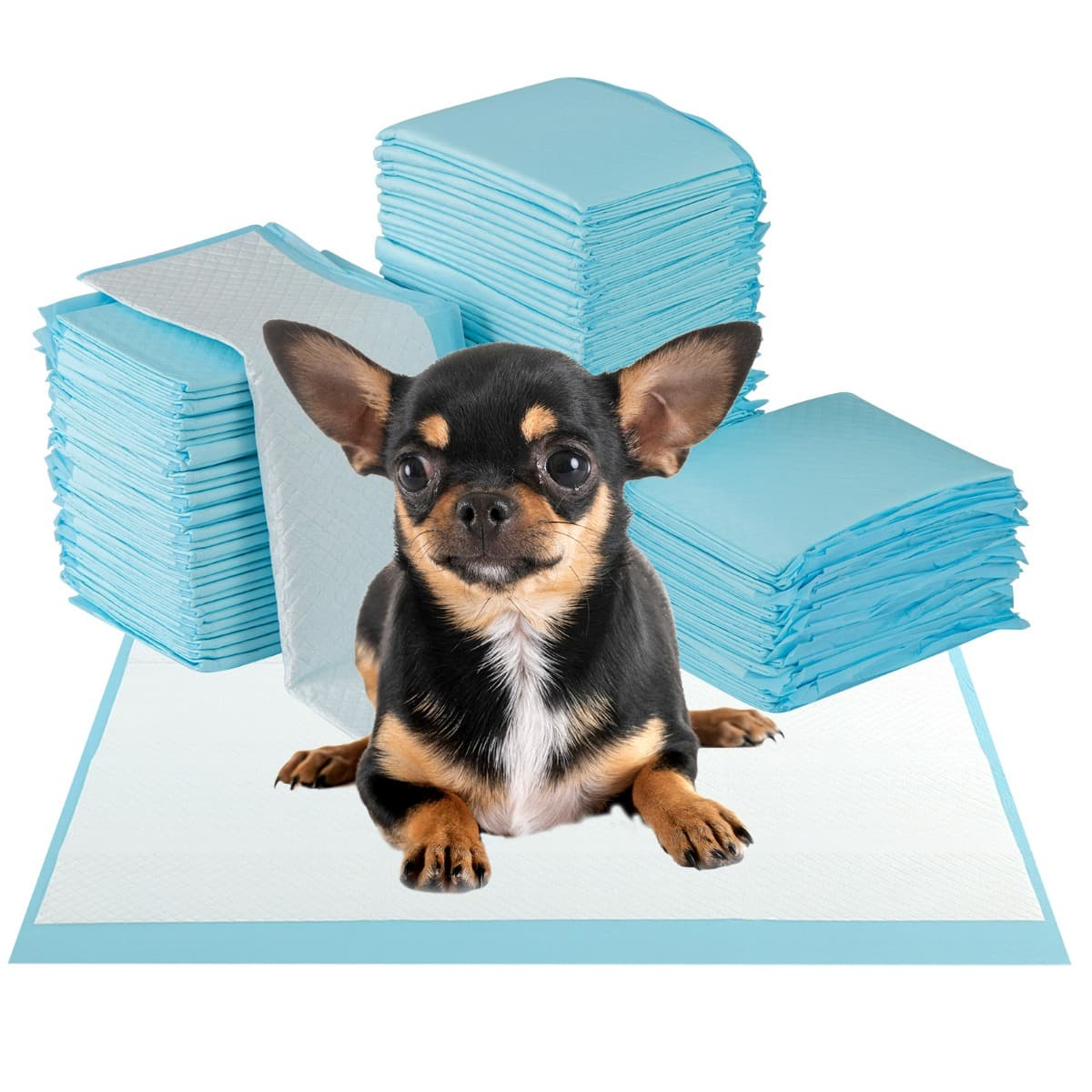 CostwayTapis d'Apprentissage pour Chiens et Chiots 57.5 x 44CM (300 Unités) Tapis pour Animaux de Compagnie à 6 Couches à l'Épreuve des Fuites Bleu