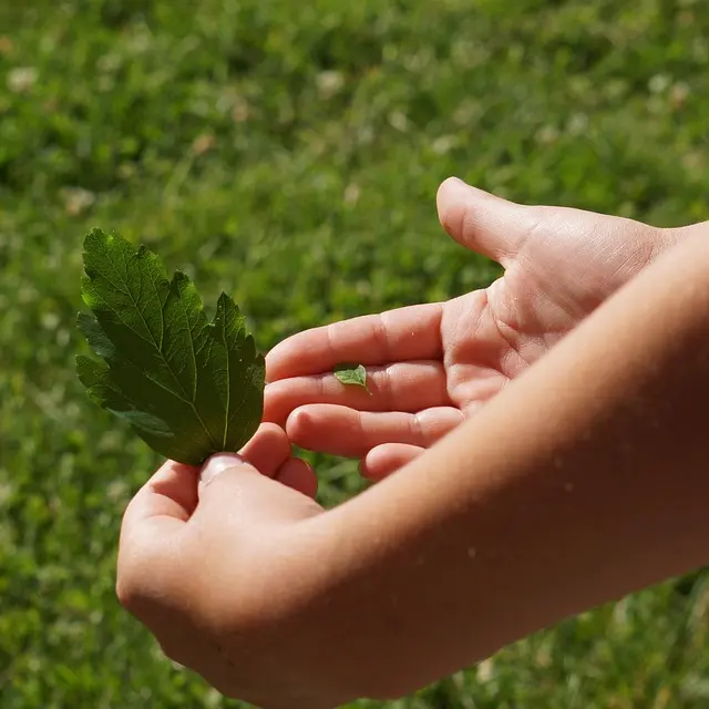 Comprendre les différents types de stress et leurs impacts