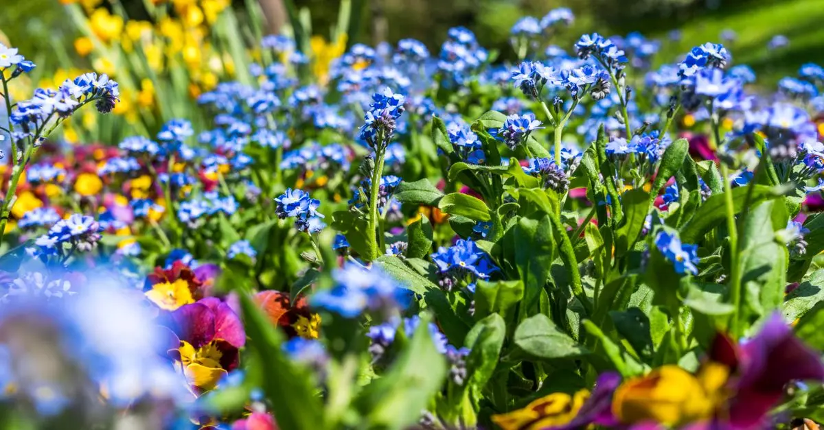 Le jardinage comme moyen de réduire le stress
