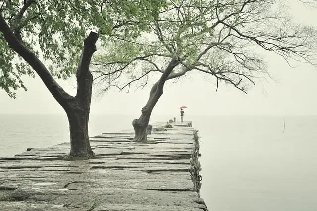 10 Astuces Pratiques pour Maîtriser Votre Stress Quotidien