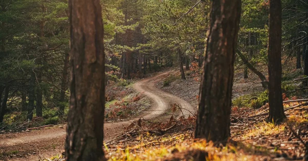 Comment créer une routine anti-stress efficace