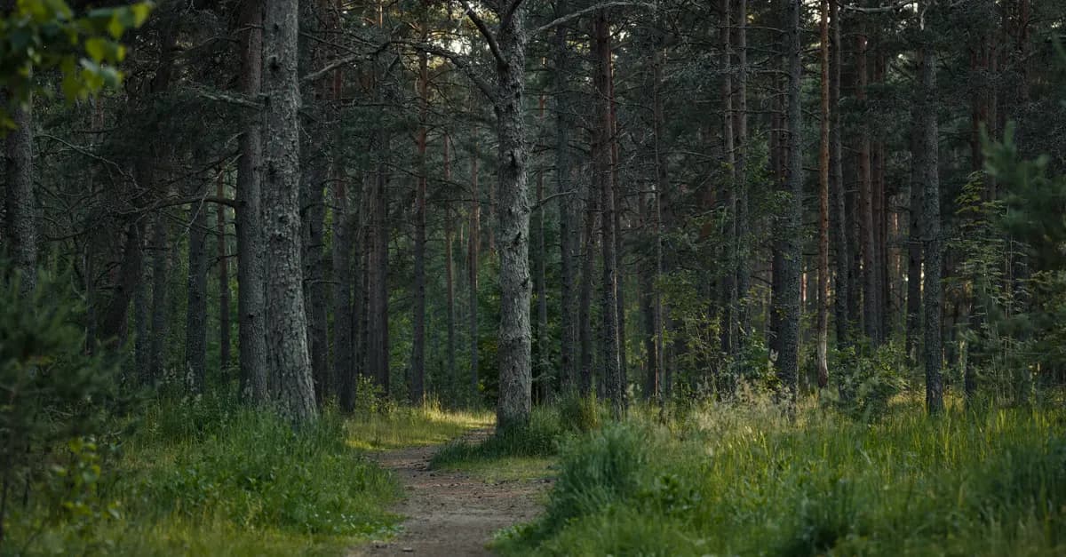 Comment la nature peut aider à maîtriser votre stress au quotidien