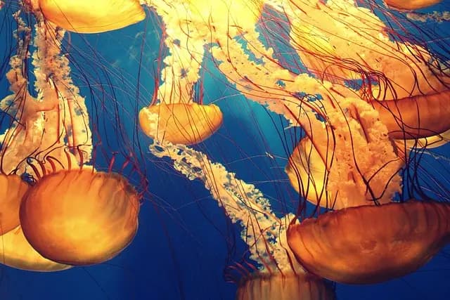 Comment la respiration profonde peut maîtriser votre stress