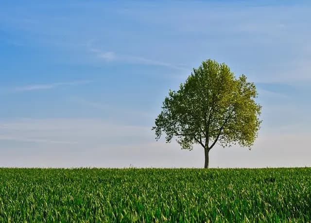 10 Erreurs à Éviter pour Maîtriser Votre Stress
