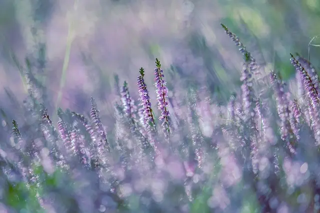 10 Astuces pour Maîtriser Votre Stress Quotidiennement
