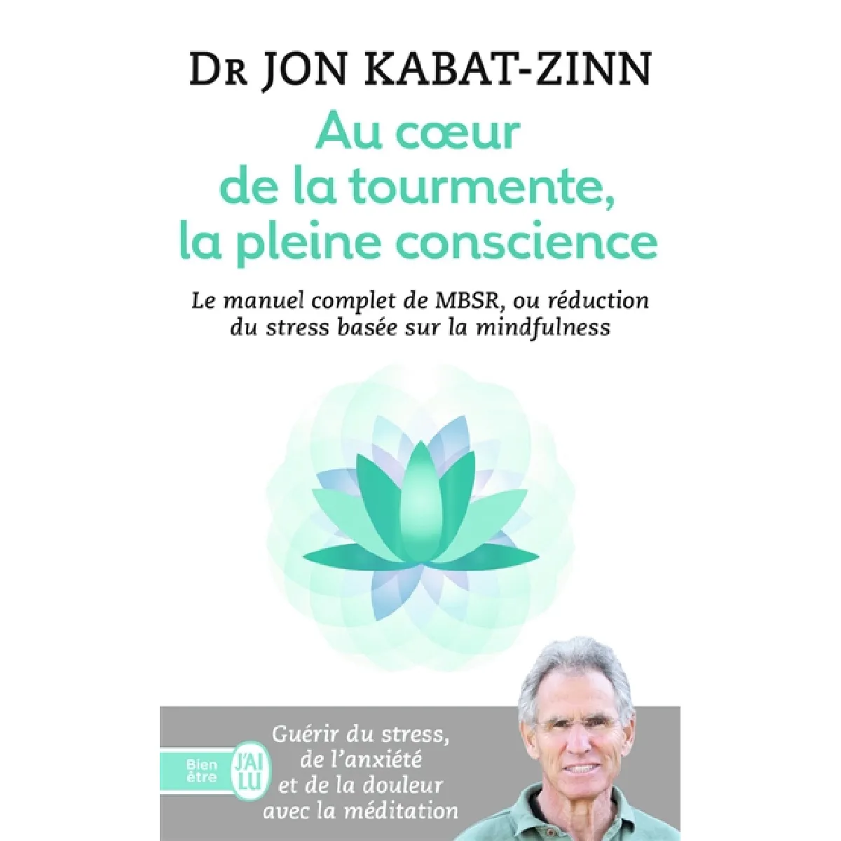 Au coeur de la tourmente, la pleine conscience : MBSR, la réduction du stress basée sur la mindfulness : programme complet en 8 semaines