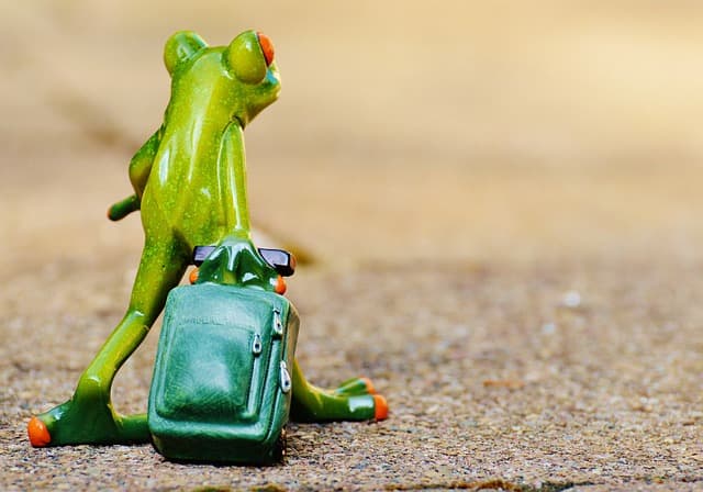 Comment le stress affecte vos décisions quotidiennes et comment y remédier