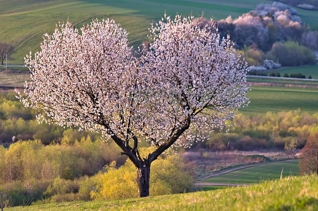 10 Techniques de Relaxation pour Réduire Votre Stress