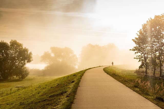 Comment le Mindfulness Peut Transformer Votre Gestion du Stress