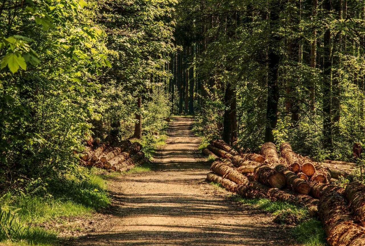 10 Astuces pour Maîtriser Votre Stress au Quotidien