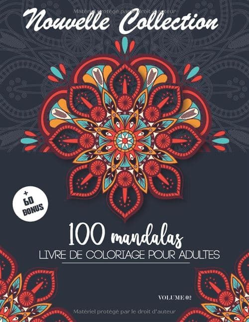 100 Mandalas – Livre de coloriage pour adultes | Anti-stress, détente et pleine conscience | 100 dessins uniques + bonus PDF